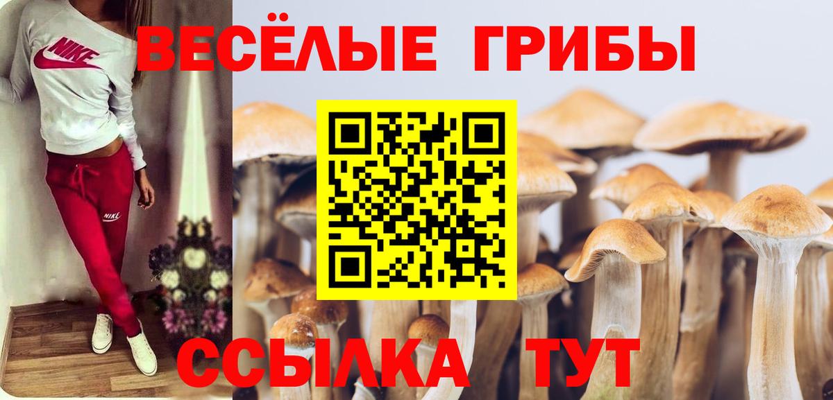 Галлюциногенные грибы мицелий Тында