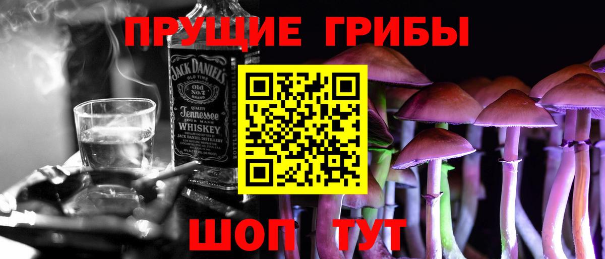 Псилоцибиновые грибы MAGIC MUSHROOMS  Вход с VPN  Тында  Галлюциногенные грибы GOLDEN TEACHER 